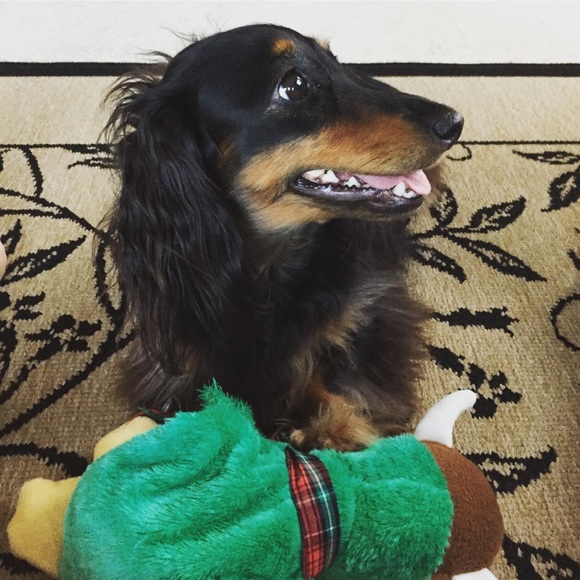 ⚠️⚠️PLEASE READ⚠️⚠️BUNDLE DISCOUNT - Picture 1 of 7